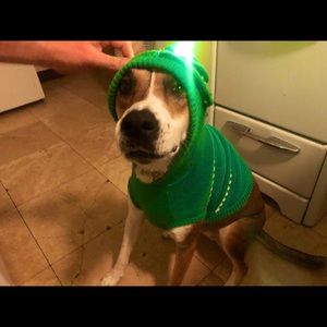 Meet your Posher, Monica